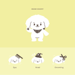 250605 Pawrent Portofolio Post 1-08
