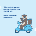 fish club-15